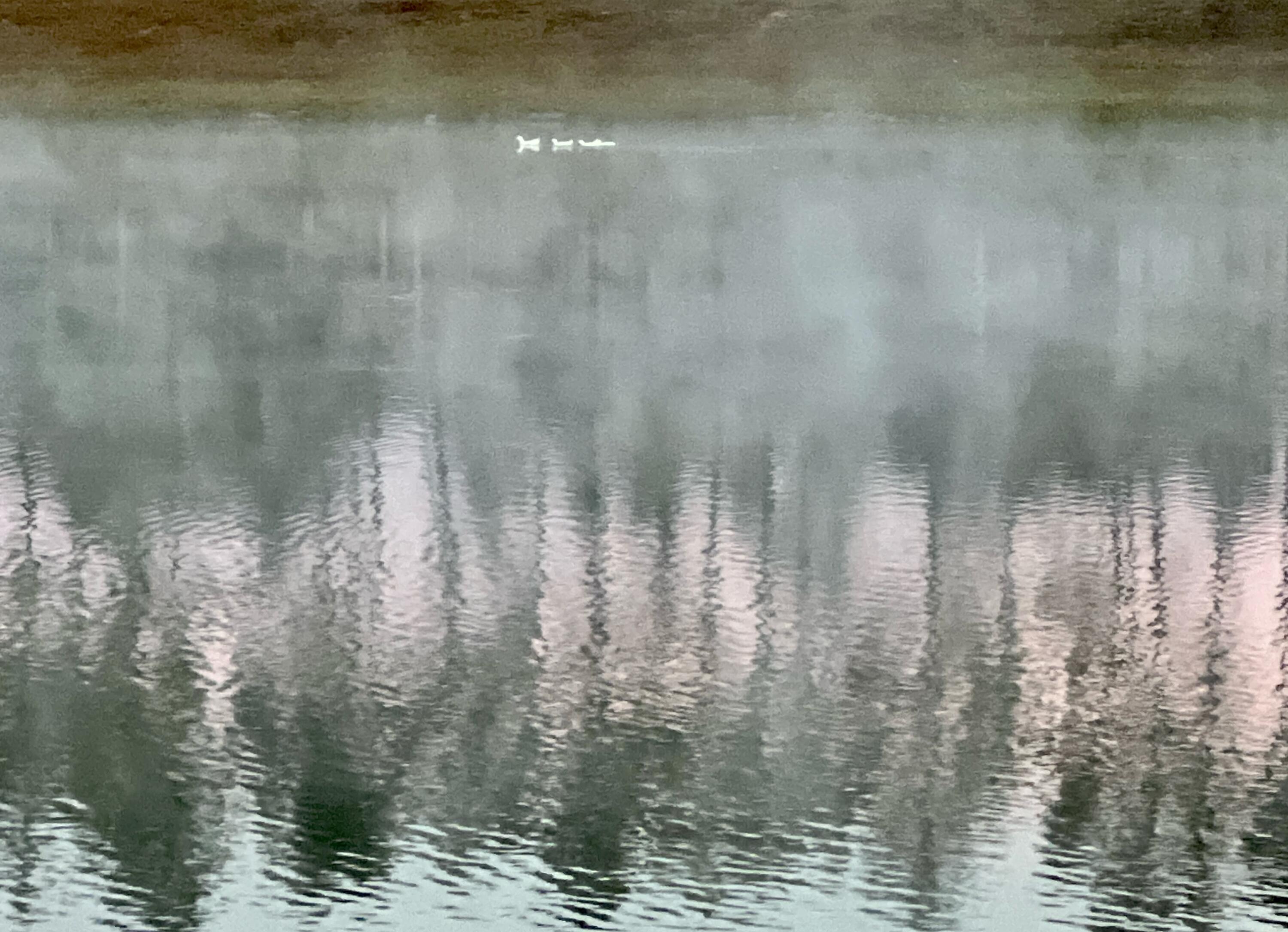 BUXTON'S MILL AT HAMMOCK BAY - Residential