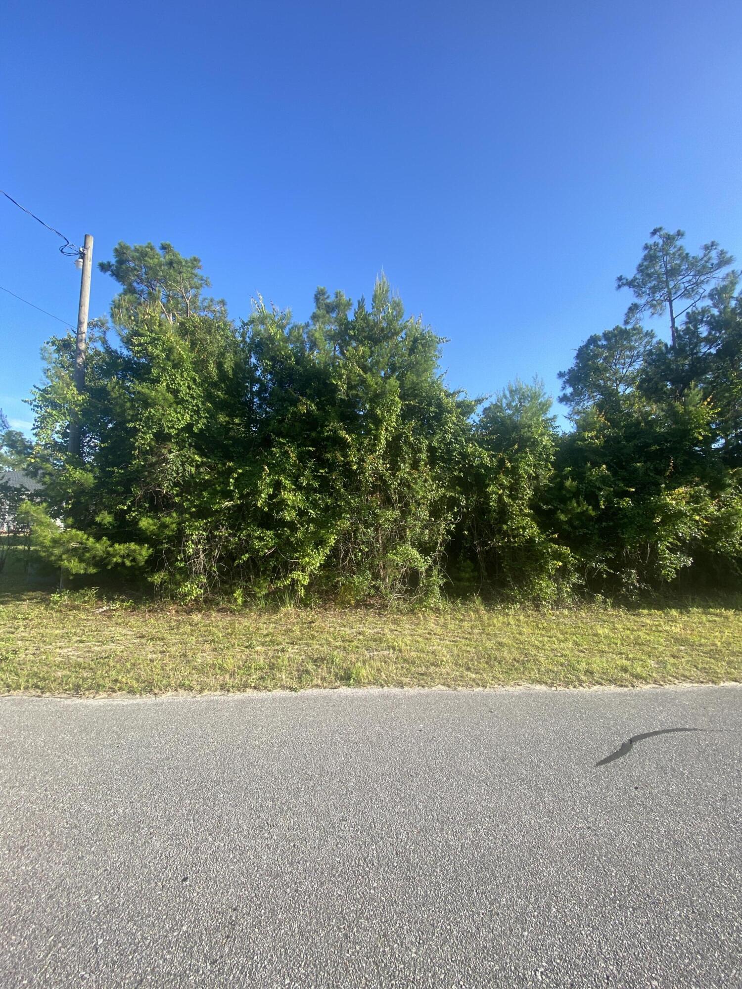 Looking for the perfect spot to build your home a little from town but close enough to shopping, restaurants, and schools? Look no more! This wooded property is located just 8 miles north of Lynn Haven, on a paved road and is ready for you to make it your own. Located on a large .80 acre lot, this site is high and dry and ready for your building plans. Pier Park and the Beach are only a 30 min drive. Go check it out!