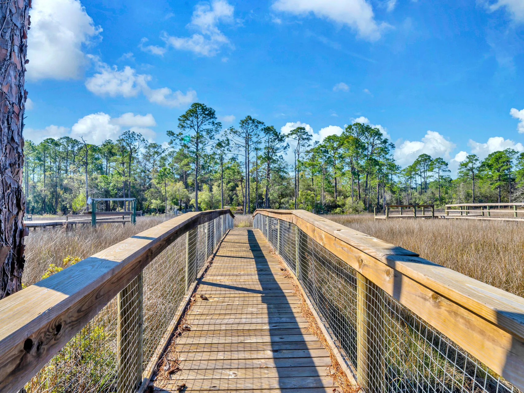 Santa Rosa Beach, Florida, 32459, United States, 4 Bedrooms Bedrooms, ,3 BathroomsBathrooms,Residential,Active,1735266