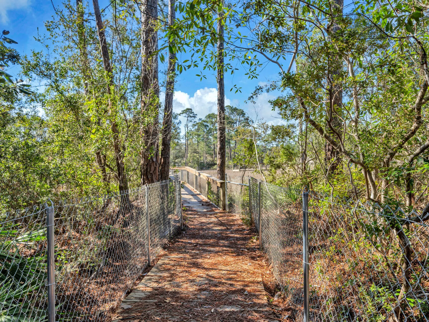 Santa Rosa Beach, Florida, 32459, United States, 4 Bedrooms Bedrooms, ,3 BathroomsBathrooms,Residential,Active,1735266