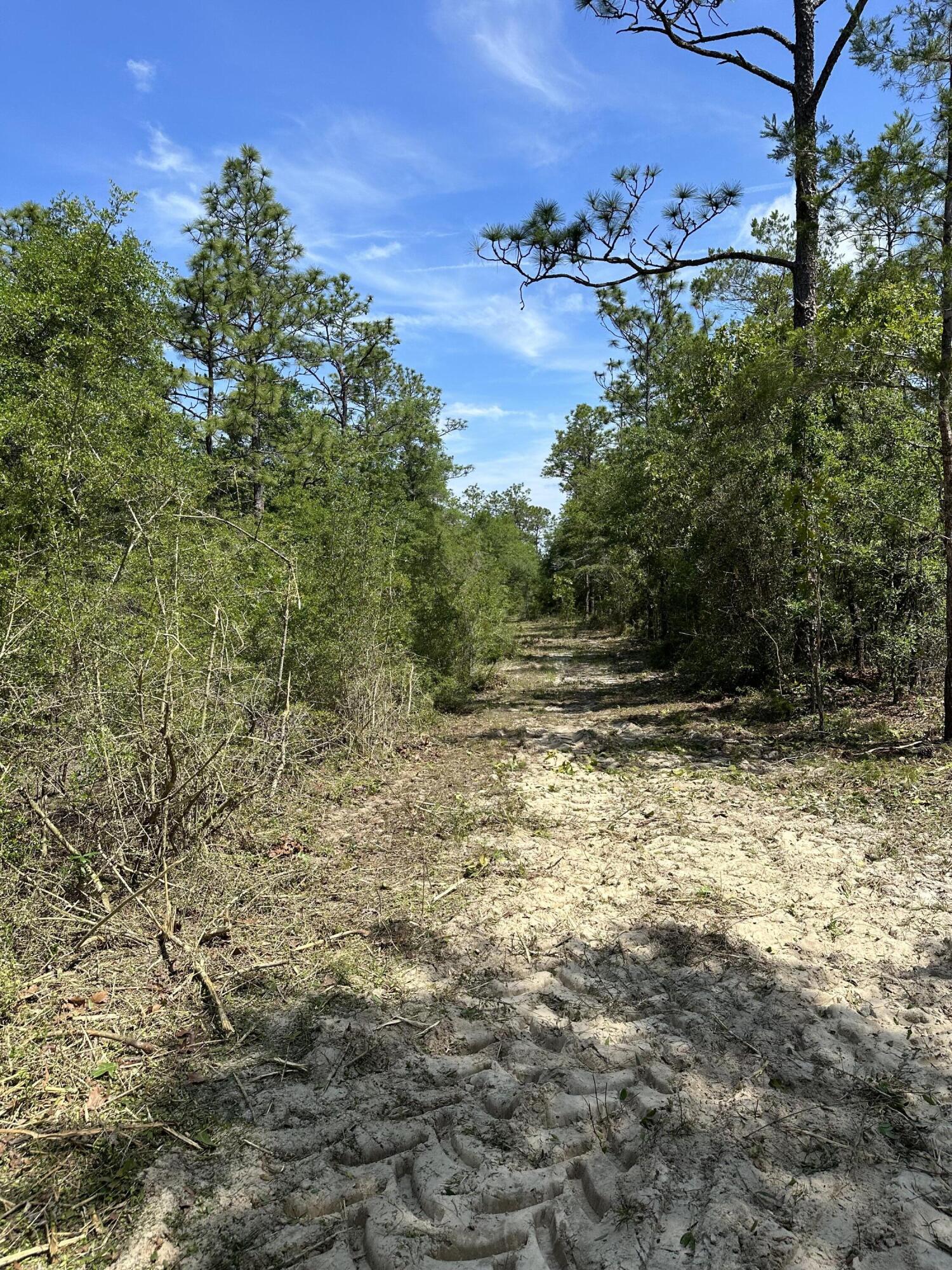 METES & BOUNDS - Land