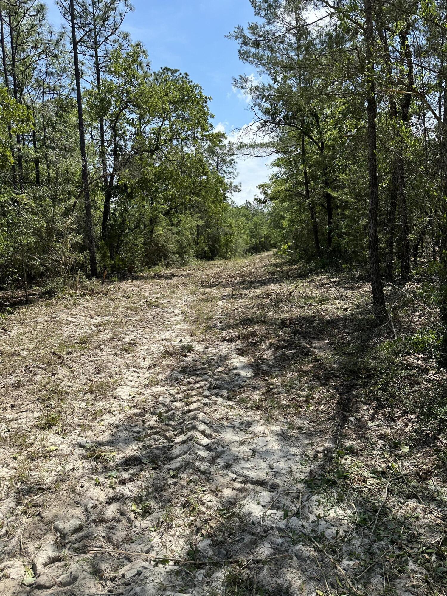 METES & BOUNDS - Land