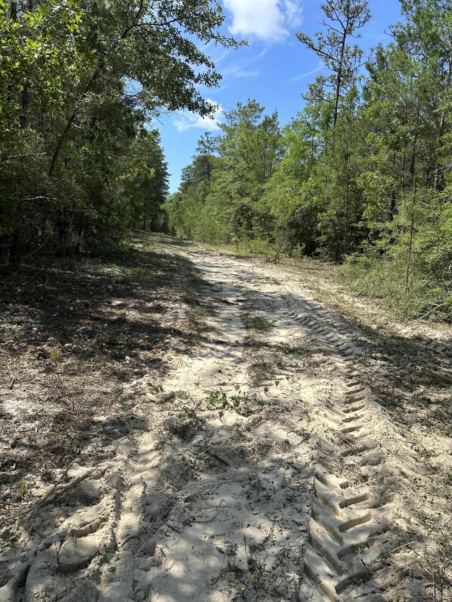 METES & BOUNDS - Land