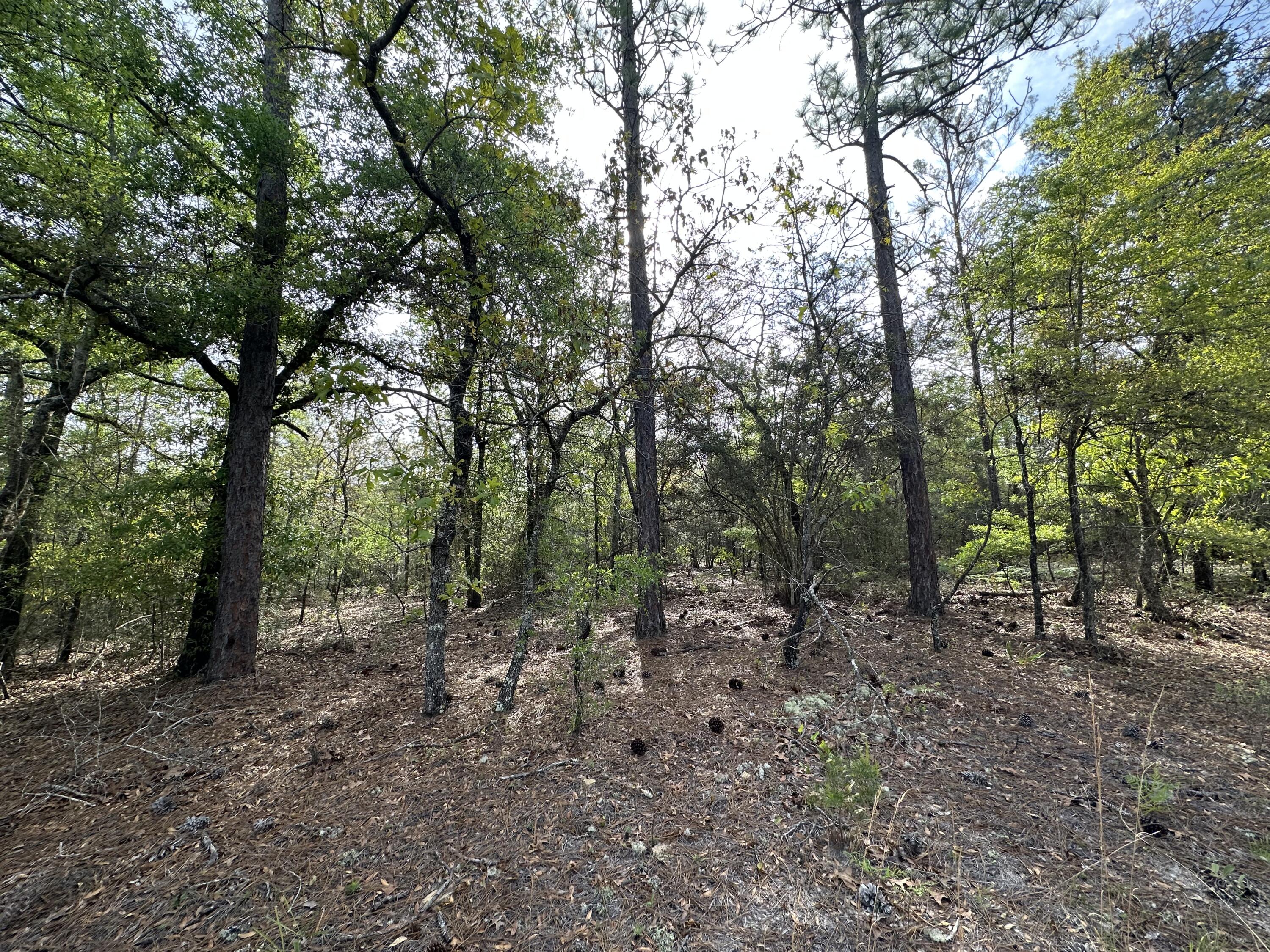Bring your build plans and Just Bask in the benefit of having NO HOA restrictions! This 1.2+/- Acre property is County Zoned as agricultural so bring your horses, cows chickens and barns! Paved road frontage and easy access to Hwy 90, Hwy 393, Hwy 85 , Hwy 2 and I-10. This property gives so many options to spend your free time. Close to Okaloosa Industrial Park, Shoal River ranch, or grab your swim suits and take a short drive to the beach.