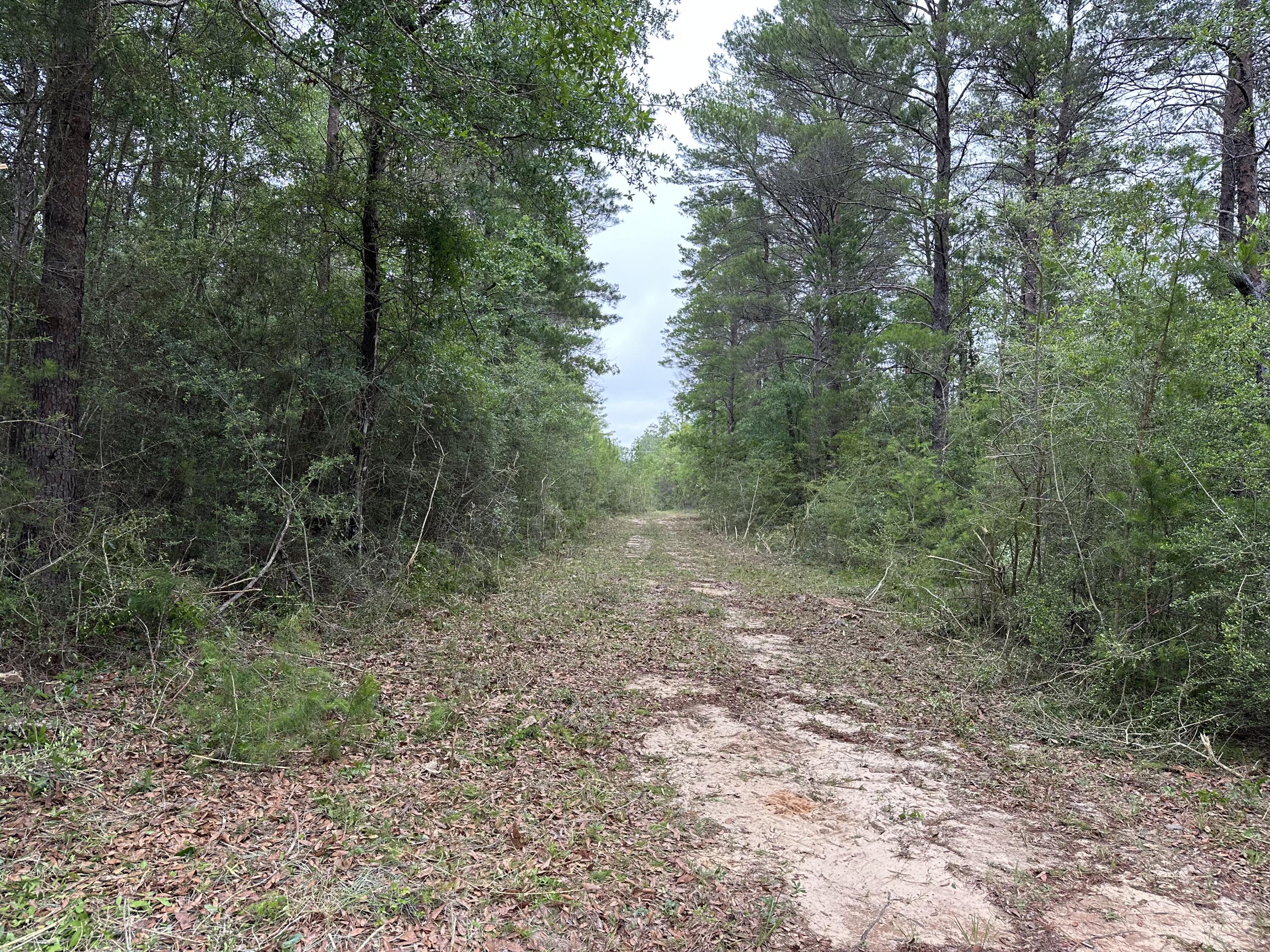 METES & BOUNDS - Land