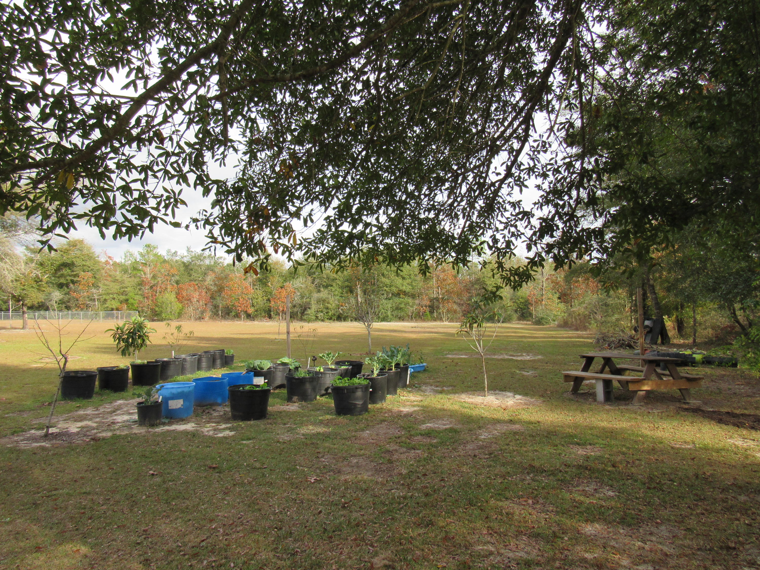 JUNIPER LAKE ESTATES UNIT 6 OF OAKWOOD HILLS - Residential