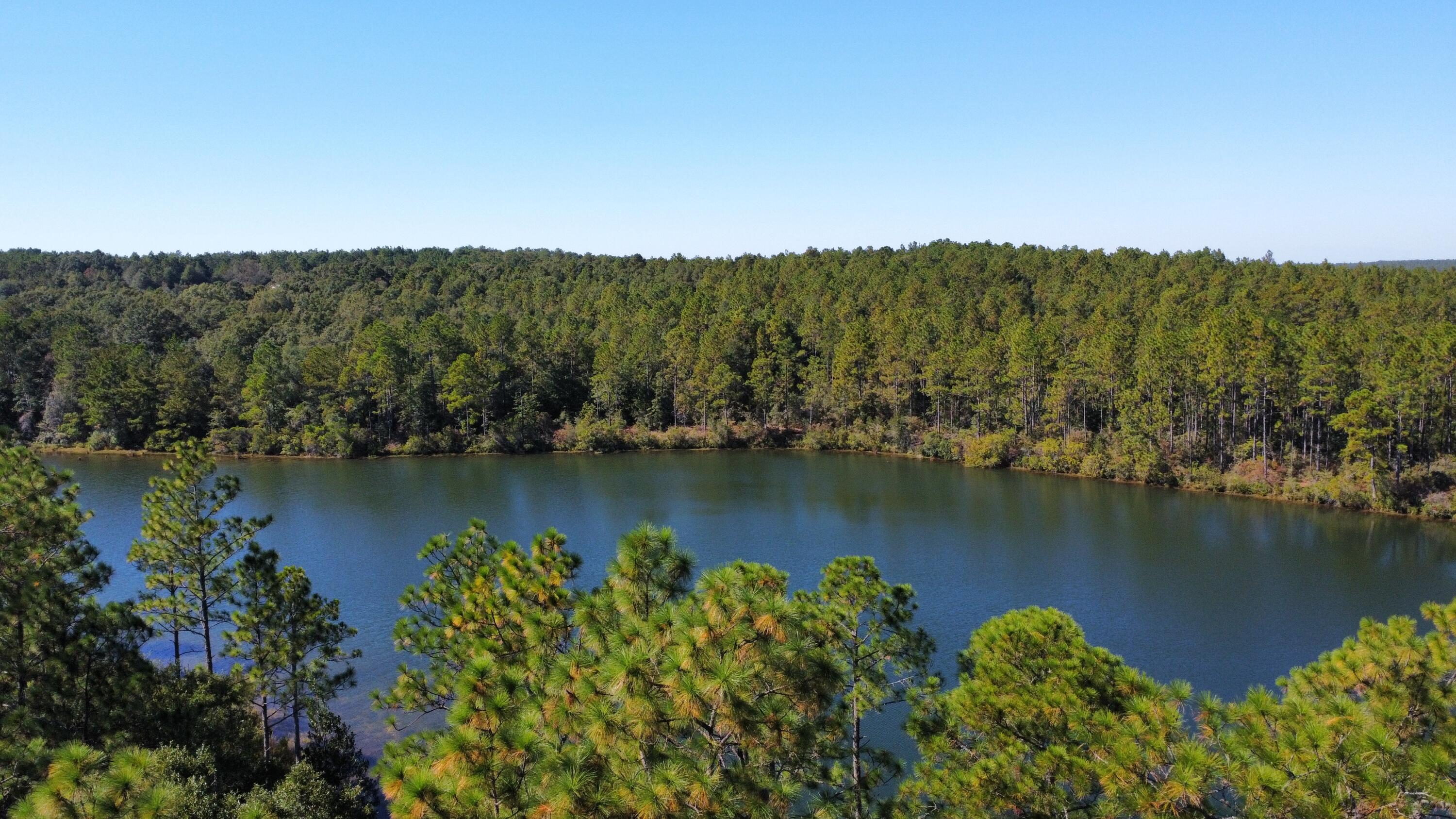 Nature Lake - Residential
