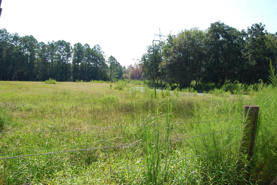 NONESUCH WAY - Residential