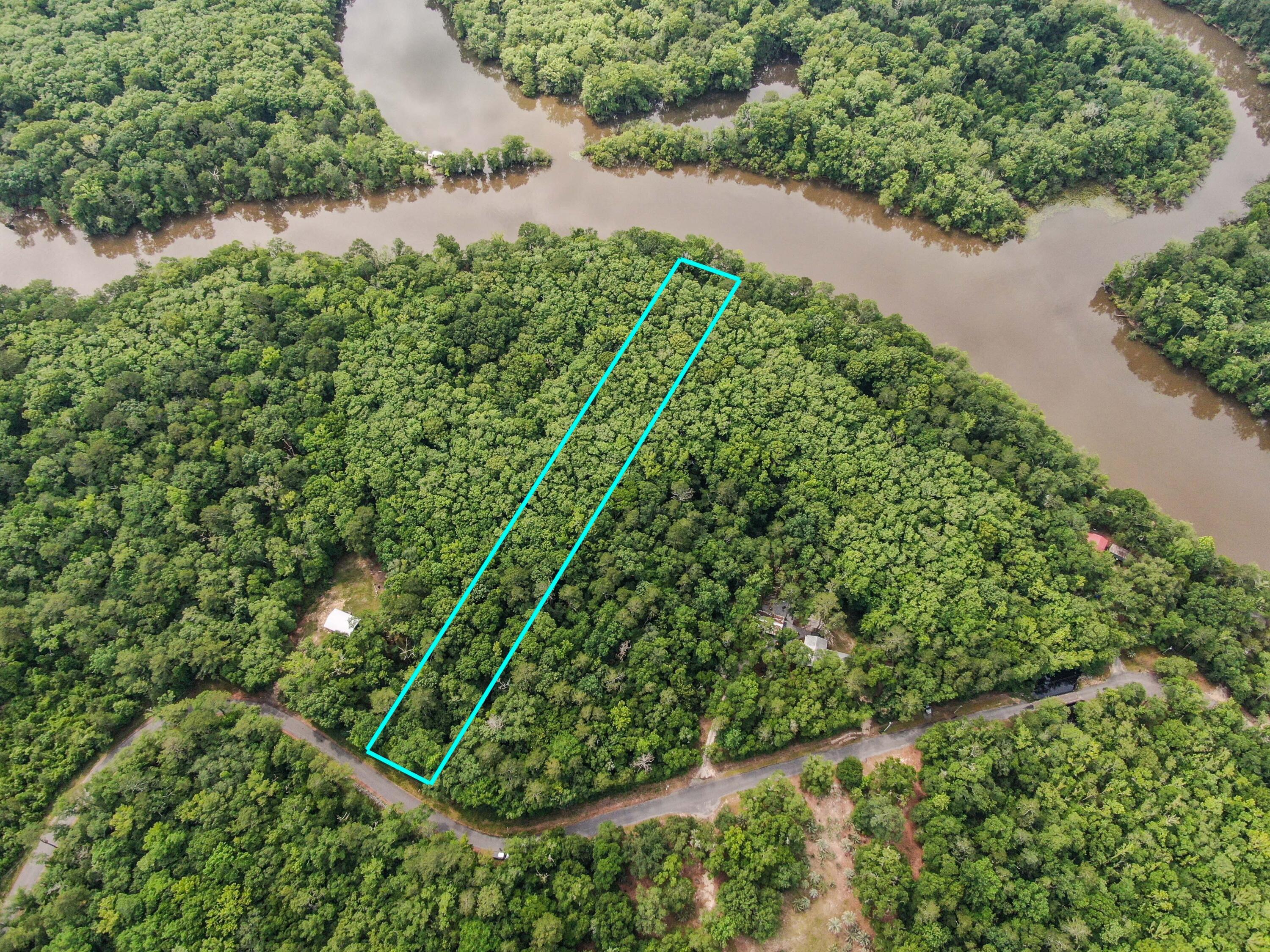 Accepting backup offers ~ Calling all fishermen and nature lovers! This beautifully wooded 1.46 acres waterfront lot on the Choctawhatchee River could be the perfect location for your weekend retreat or that forever home you've been dreaming of. Choctawhatchee River Estates is a river community with beautiful homes in the area and no HOA fees! Conveniently located 20 min to Freeport, 10 min to Windswept Dunes Golf Club, 30 min to the beautiful beaches of South Walton and Panama City Beaches, and 25 min to Northwest FL Beaches International Airport! Call today before it is gone!