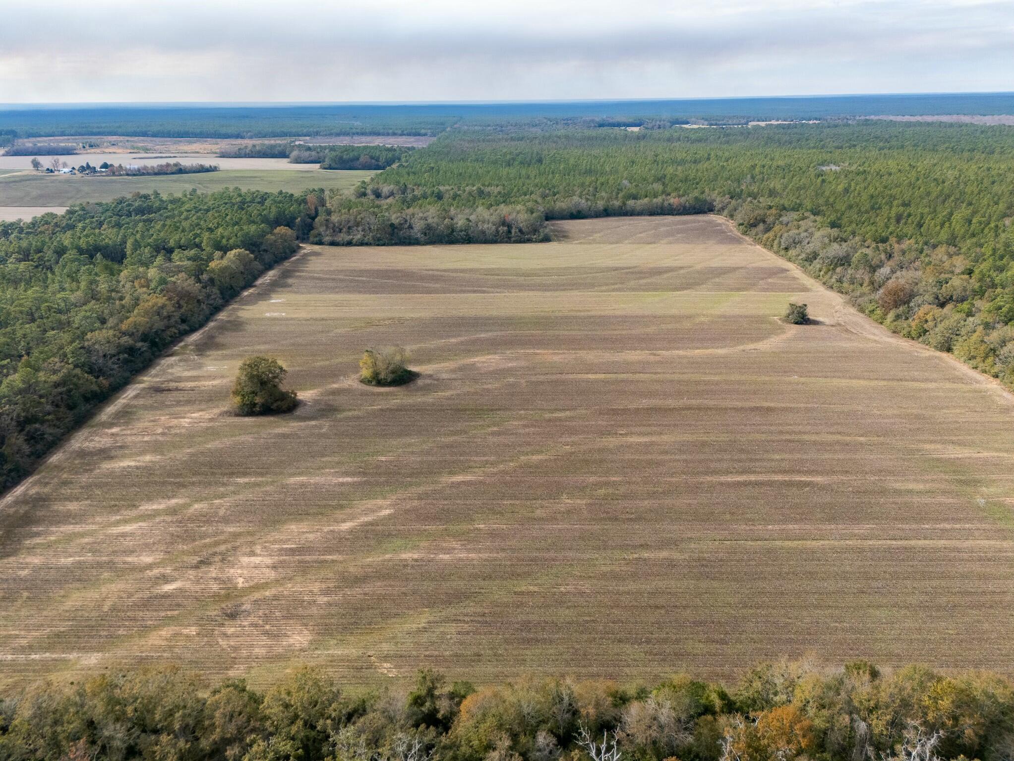 Presenting a rare opportunity to own 80 acres of mostly cleared land in the heart of Baker - a perfect canvas for those seeking a serene, private lifestyle with endless potential. Whether you envision building your dream home, creating the ultimate recreational getaway, or establishing a thriving farm or ranch, this expansive property offers the space, privacy, and versatility you need to turn your vision into reality.This 80-acre parcel is mostly cleared and ready for your plans. With lush open fields, mature trees, and water in the center of the lot, it's a perfect blend of cleared land for farming or building, with natural features that enhance its beauty and functionality. Whether you're looking to raise livestock, create a hobby farm, or just enjoy the freedom and privacy.