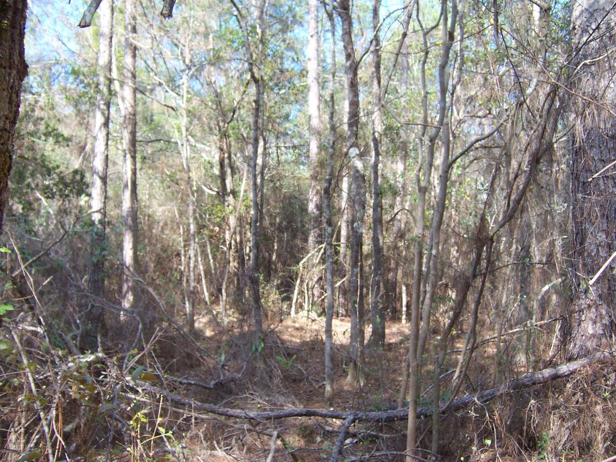 METES & BOUNDS - Land