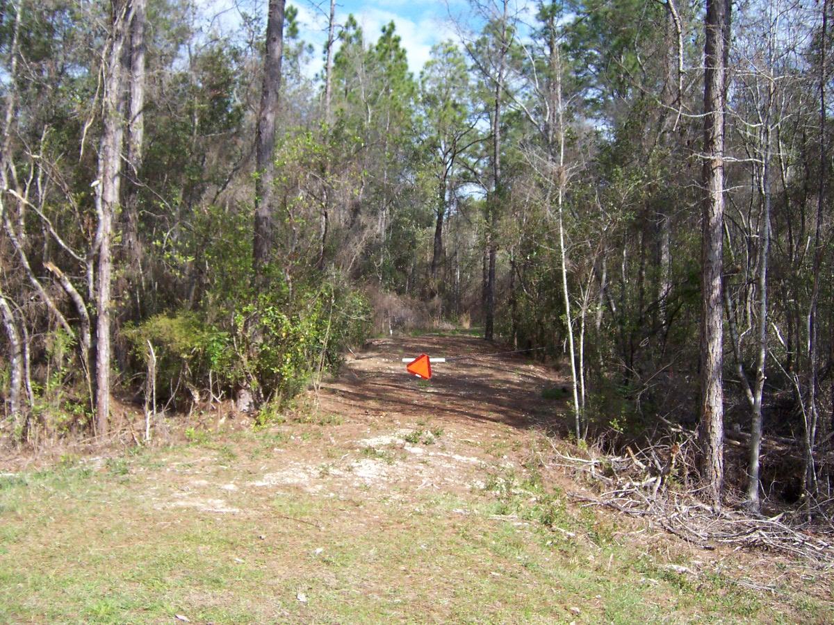 METES & BOUNDS - Land