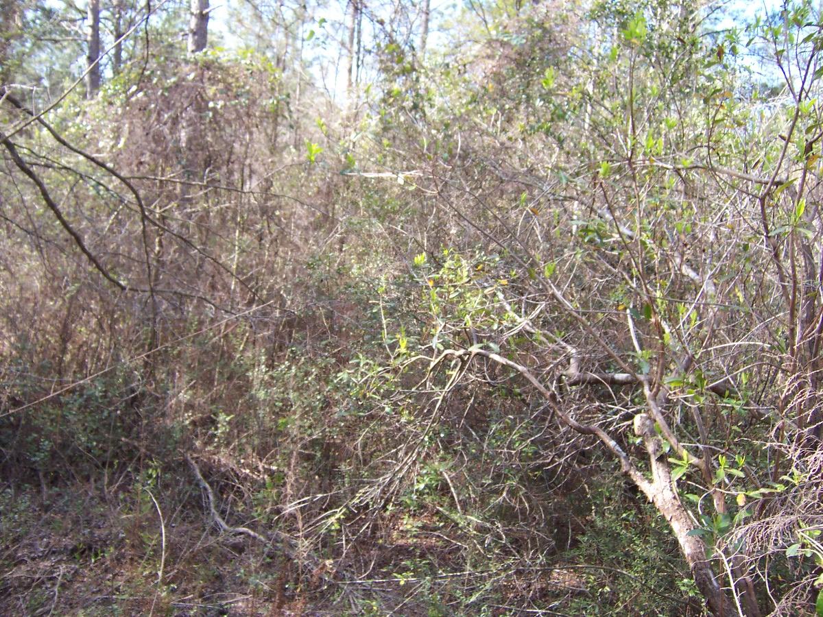 METES & BOUNDS - Land