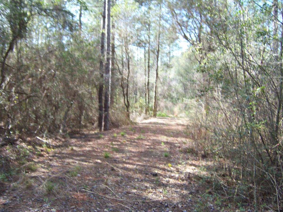 METES & BOUNDS - Land