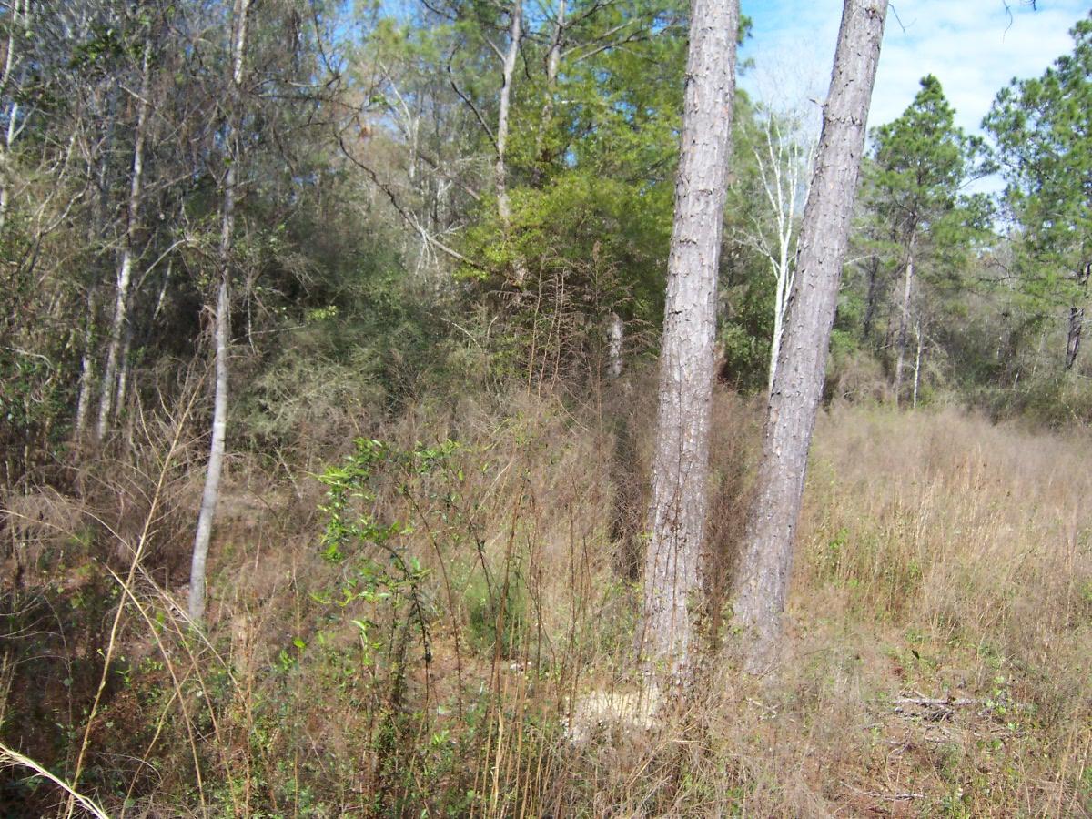 METES & BOUNDS - Land