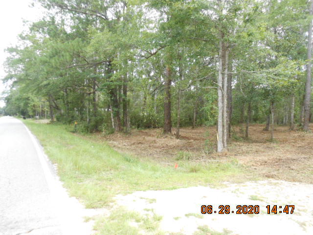 PROPERTY HAS POTENTIAL!! This is a half acre lot already CLEARED!!! Property has 75 feet of road frontage on McDaniels Fishcamp Rd. An access entrance is already in place . Water and power are at the road side, and a septic tank will be needed. It is zoned in the county as single family residence for a structure, manufactured home or mobile home. Call agent and let's take a look at this opportunity.
