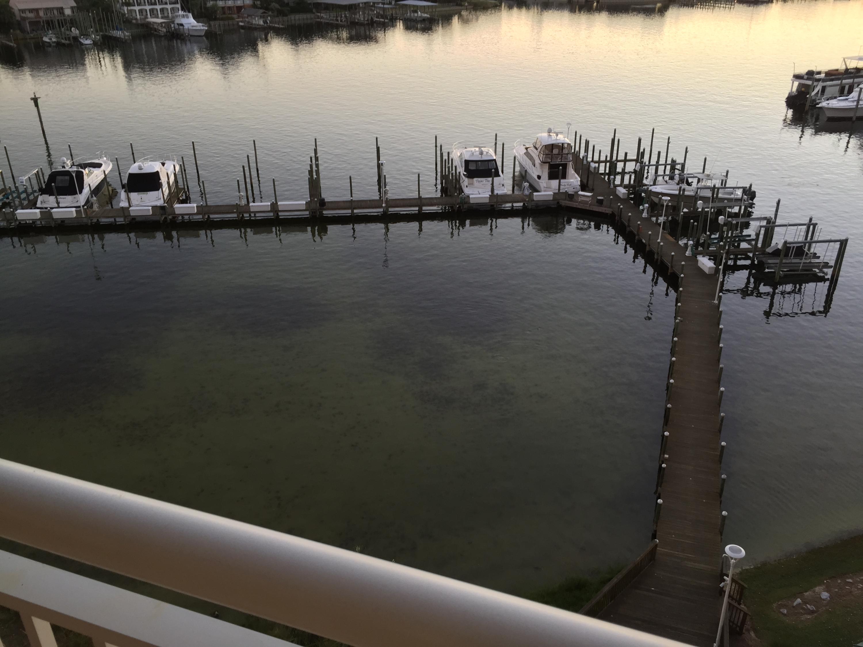 GRAND HARBOR - Residential