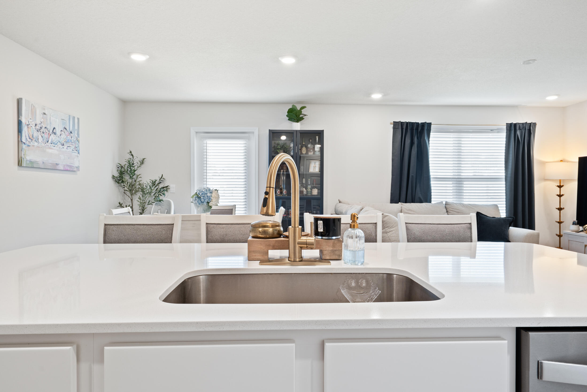 SILVER LAKE VILLAGE - Residential