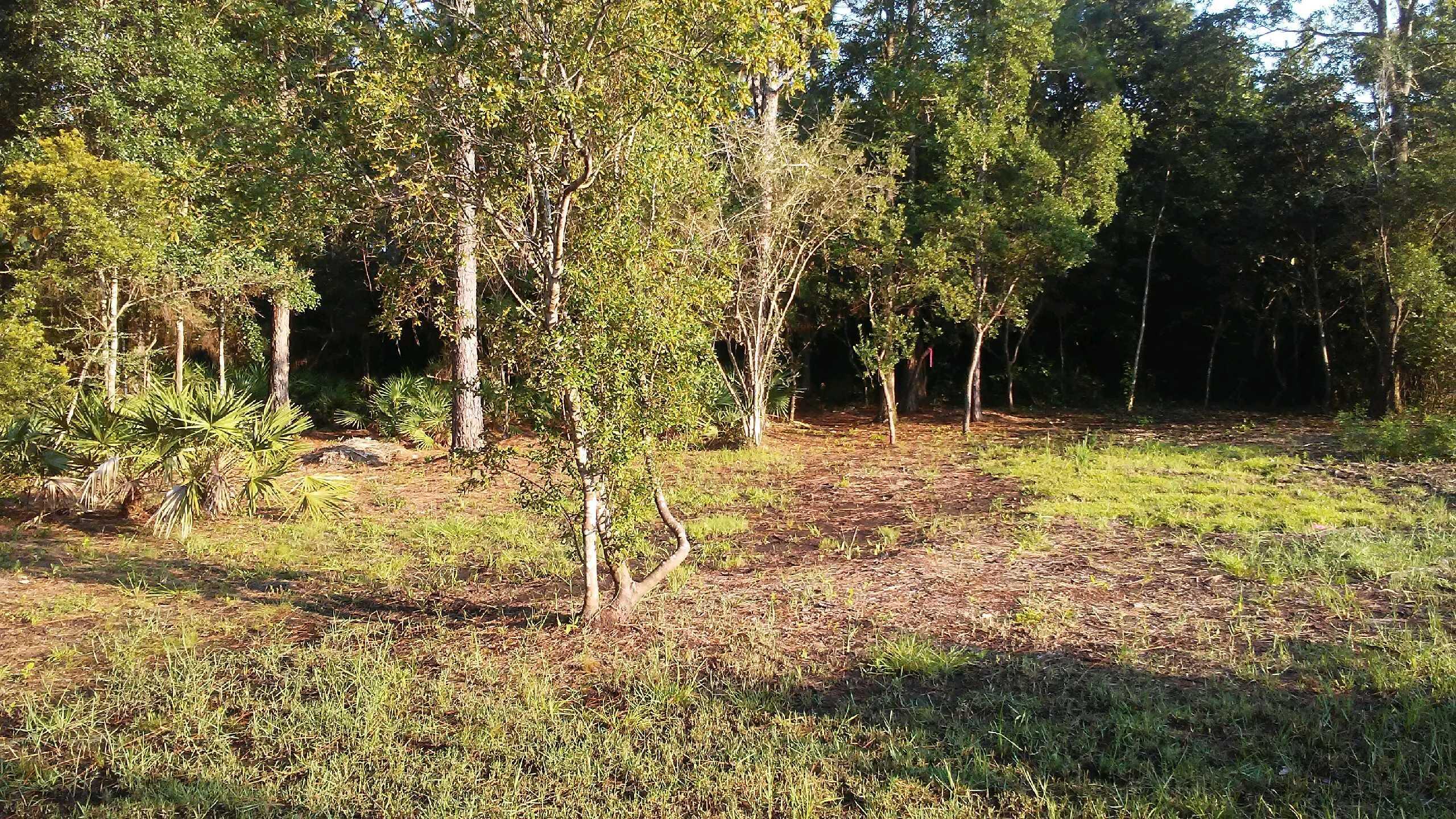 EVERGREEN SHORES 1ST ADDN - Land