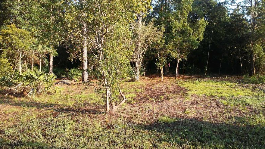 Beautiful wooded lot to build your home on!For more information call seller 850 -781 -5122Realtor is Sellers motherAll information deemed correct , buyer to verify