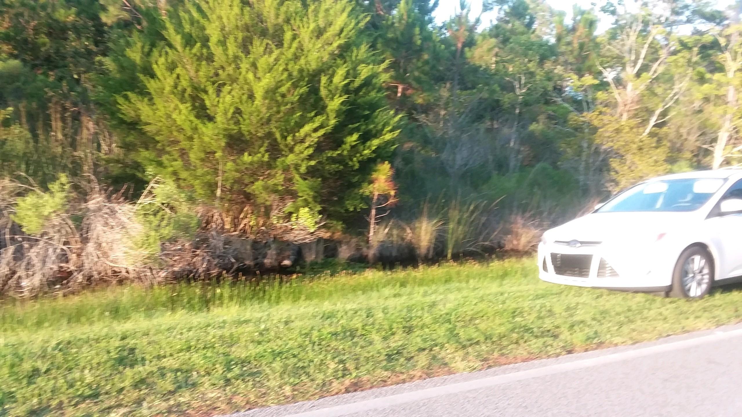 Home at 515 Parish Blvd to left of the lot. Large lot 1.33 acre that backs to lake. 189 feet on the lake. The environmental study has already been done. Survey attached for this lot.Best buy on the market! Lot to the right of 515 Parish sold at $53,000. Build your dream home! Back on the market thru no fault of the seller.