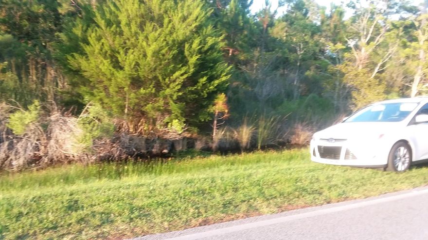 Home at 515 Parish Blvd to left of the lot. Large lot 1.33 acre that backs to lake. 189 feet on the lake. The environmental study has already been done.  Survey attached for this lot.Best buy on the market! Lot to the right of 515 Parish sold at $53,000. Build your dream home! Back on the market thru no fault of the seller.