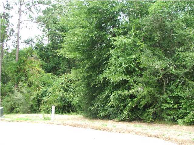 SPRING HOLLOW ESTATES - Land