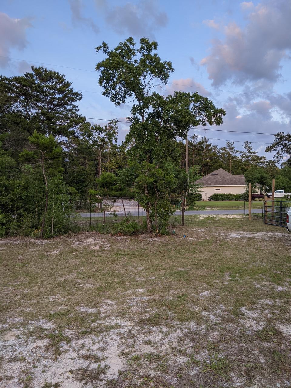 Lot 21 Daughettes Plat - Land