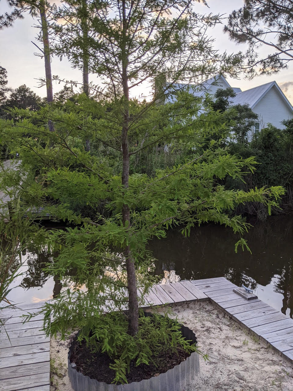 Lot 21 Daughettes Plat - Land