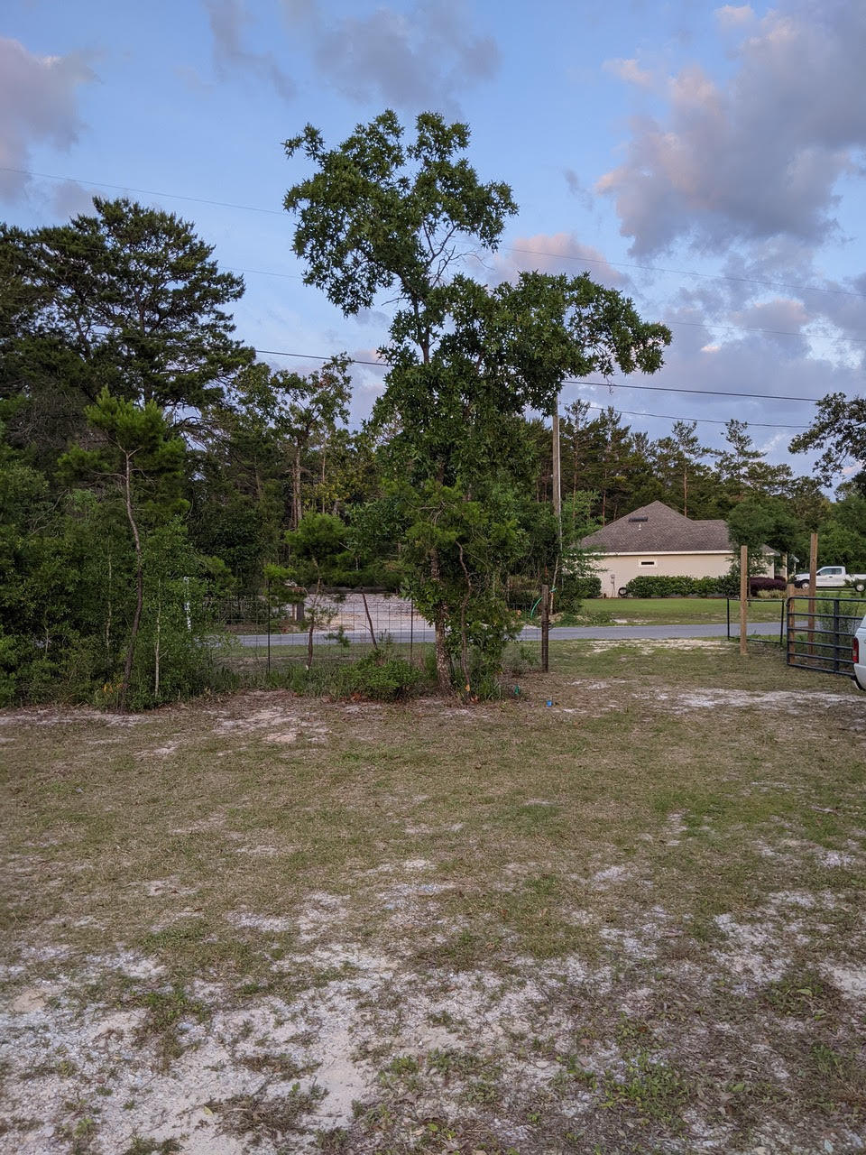 Lot 21 Daughettes Plat - Land