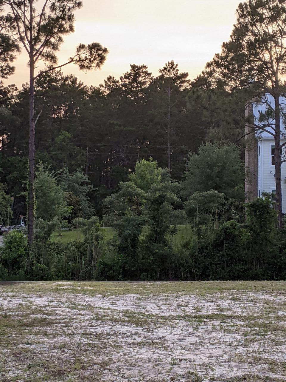 Lot 21 Daughettes Plat - Land