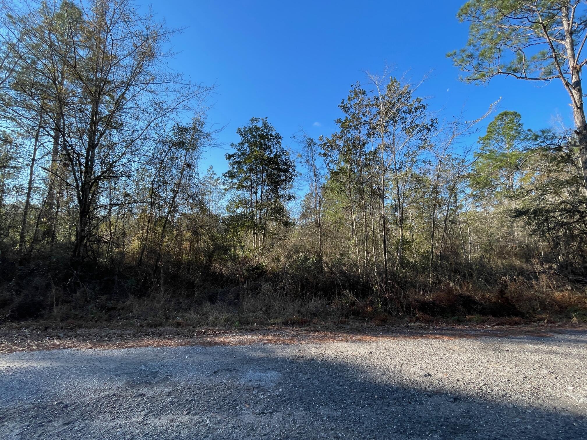 Nice buildable lot on a paved road, approximately 30 minutes from the shopping, restaurants and beaches of both Panama City Beach and South Walton. Manufactured homes are permitted. Power is available, but a well and septic system will be required. A portion of the lot has wetlands and is in flood zone A. Refer to the GIS Wetlands Map in Documents.