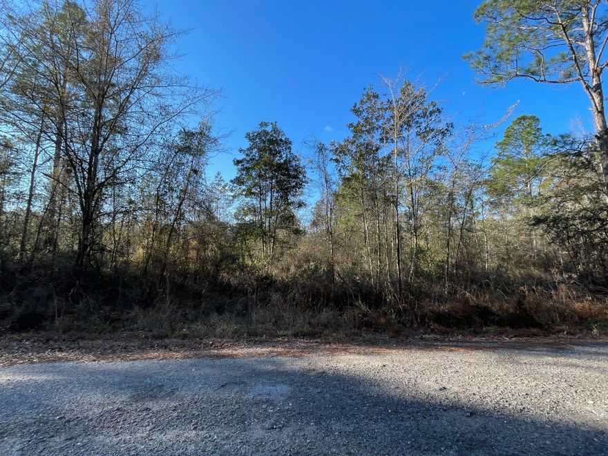 Nice buildable lot on a paved road, approximately 30 minutes from the shopping, restaurants and beaches of both Panama City Beach and South Walton.  Manufactured homes are permitted.  Power is available, but a well and septic system will be required.  A portion of the lot has wetlands and is in flood zone A.  Refer to the GIS Wetlands Map in Documents.