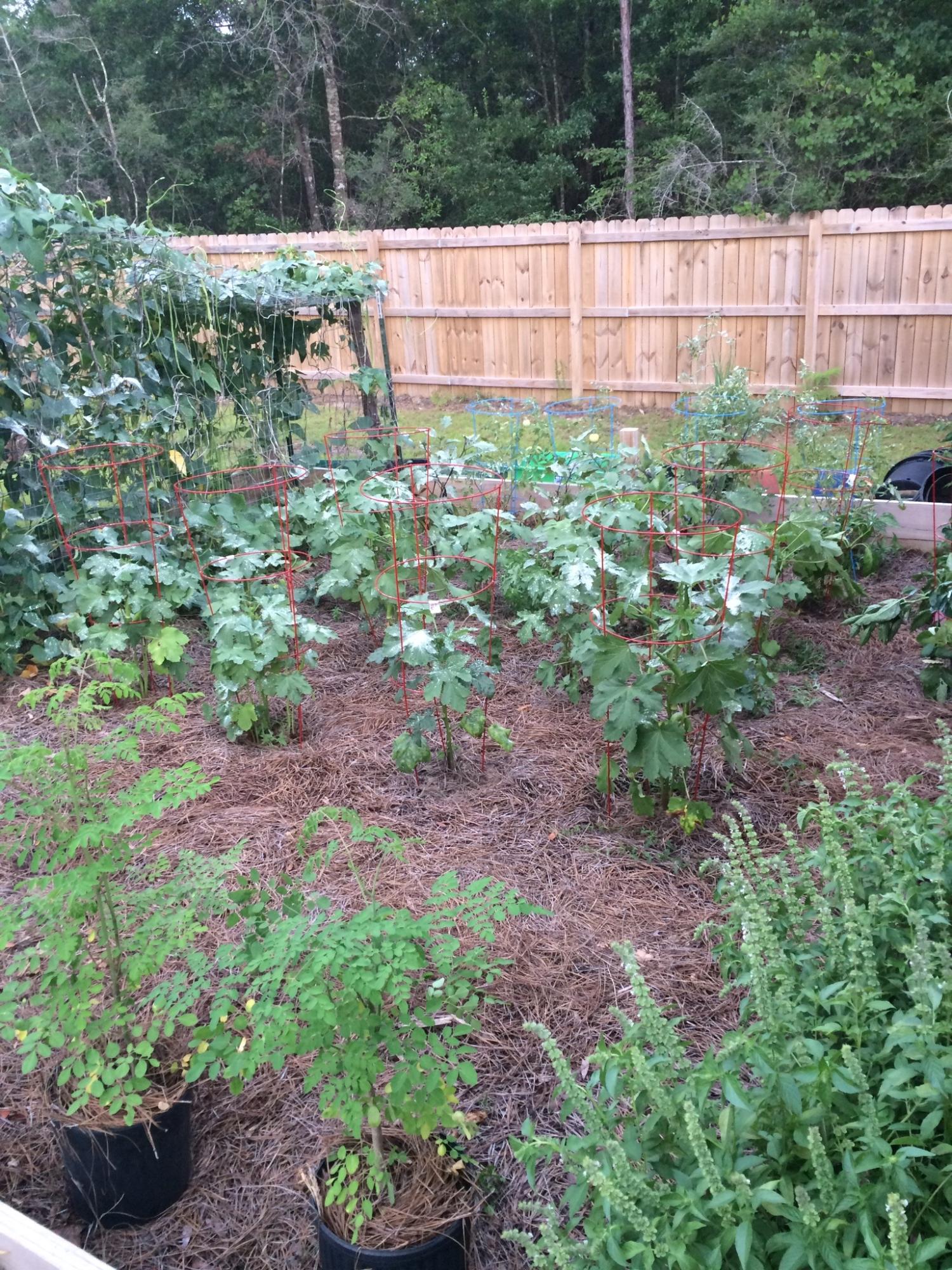 CARNEGIE HILLS PH 2 - Residential