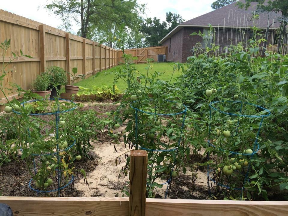 CARNEGIE HILLS PH 2 - Residential