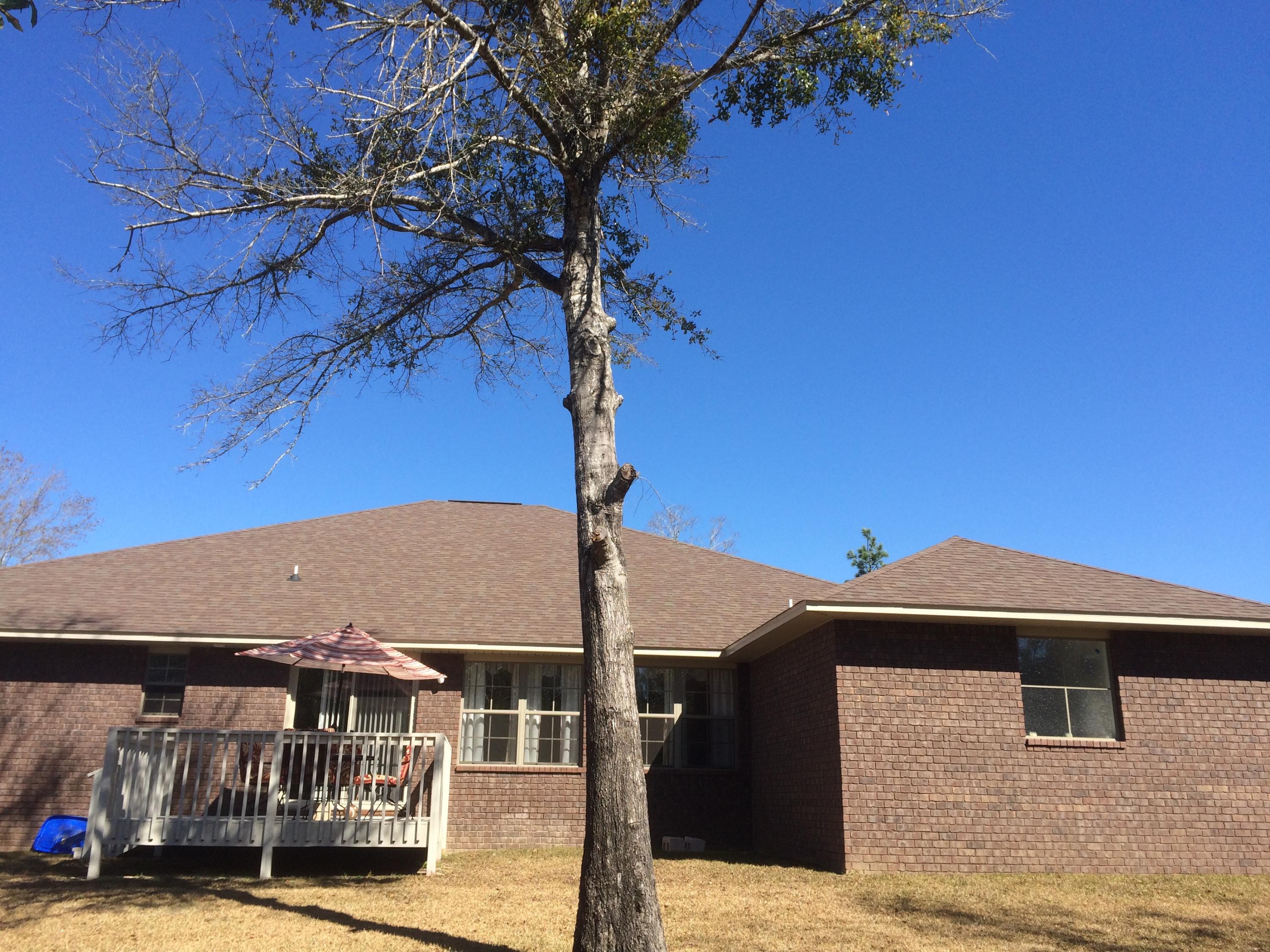 CARNEGIE HILLS PH 2 - Residential