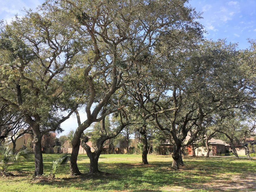 Beautiful Corner Lot in Destin FL. Build your dream home. This lot has mature trees and a desirable location. Close to shopping, schools, and easy access to both bridges. Seller is a Licensed Real Estate Agent and selling two lots side by side.