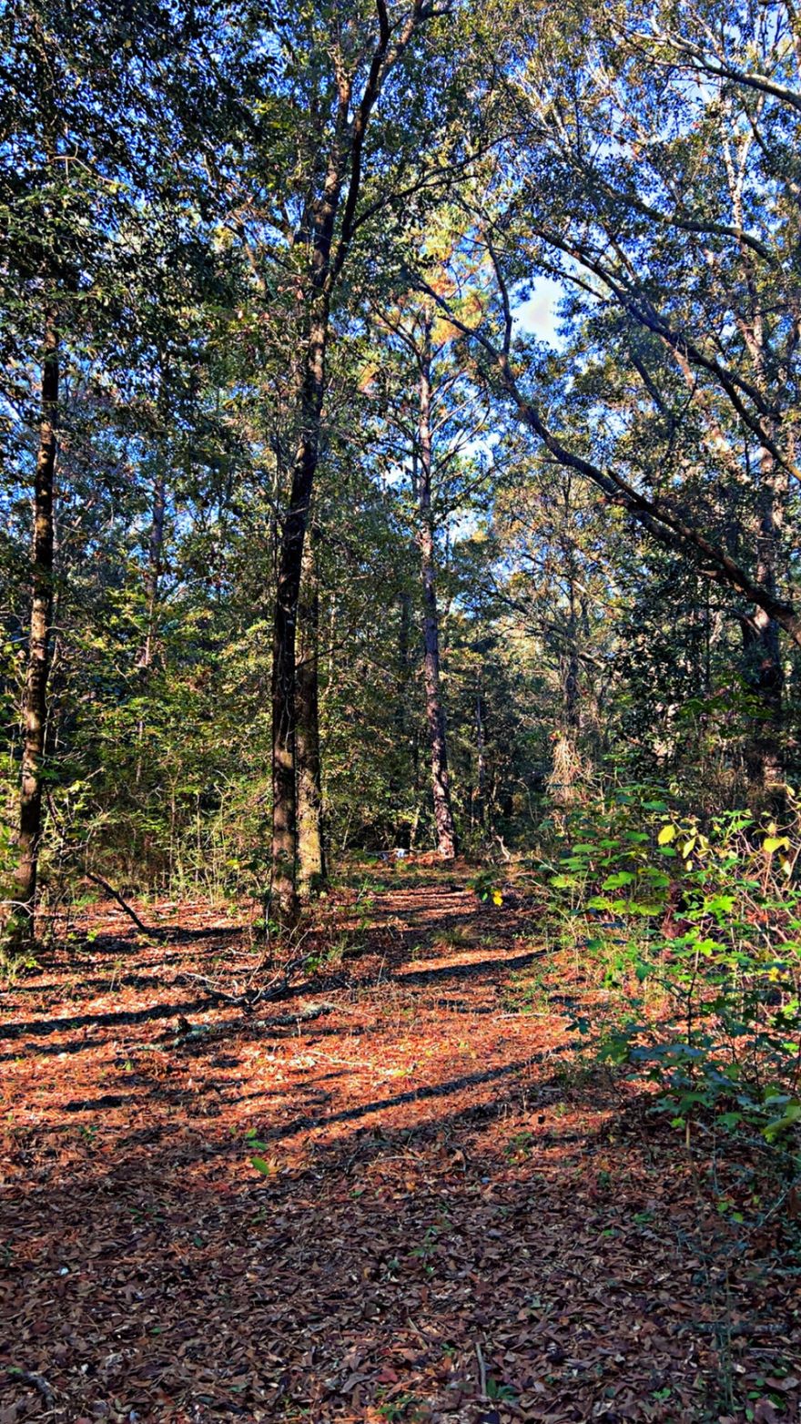 This beautiful property sits directly on a smooth, paved county road. Save time and money - it's already equipped with a private well and septic system. A prime feature is the dedicated RV space, complete with both water and electrical connections, perfect for temporary living or guest accommodation.