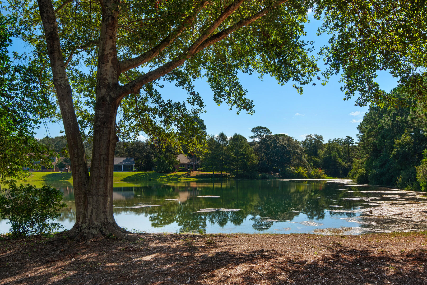 LAKESIDE CONDO AT BLUEWATER BAY - Residential