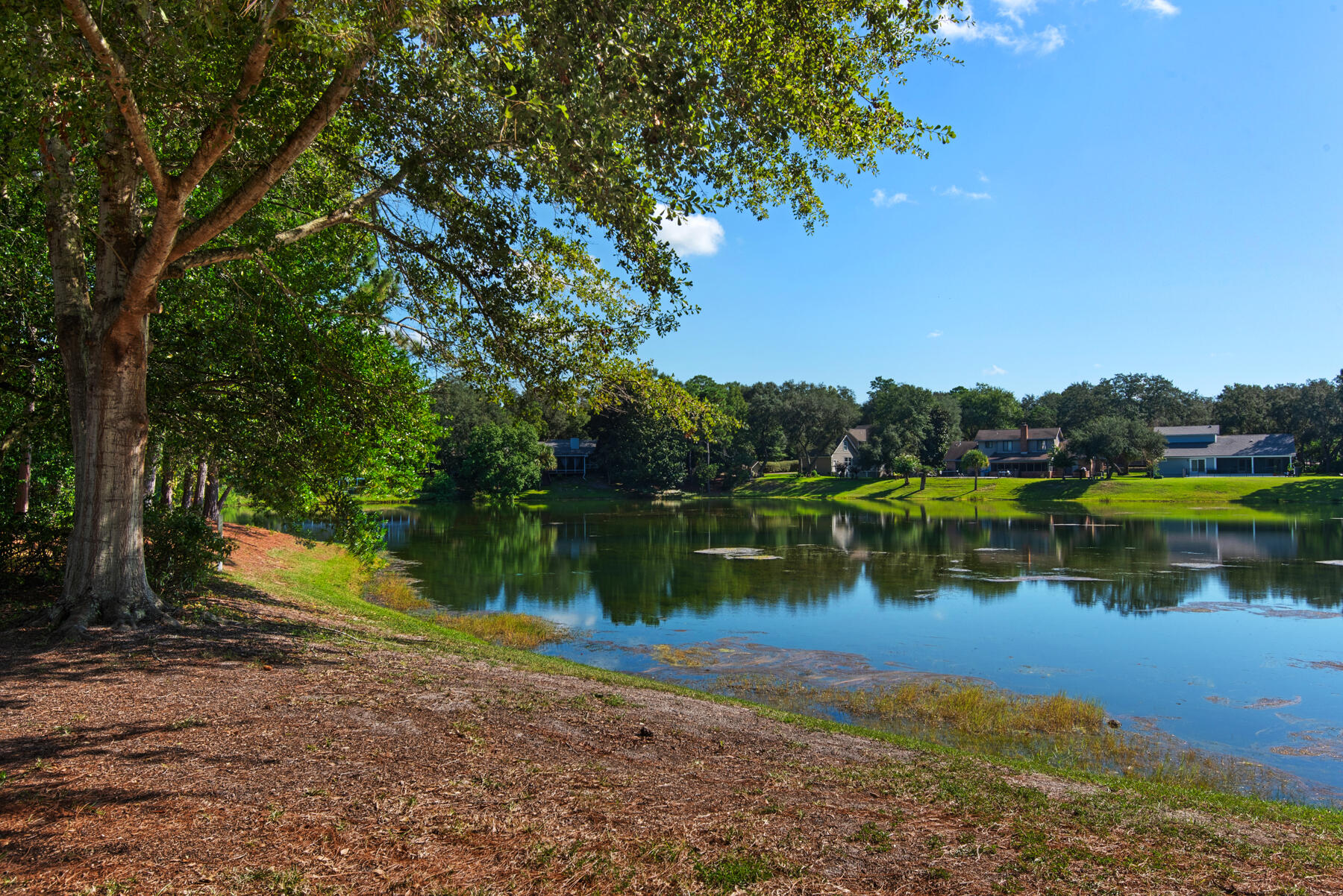 LAKESIDE CONDO AT BLUEWATER BAY - Residential