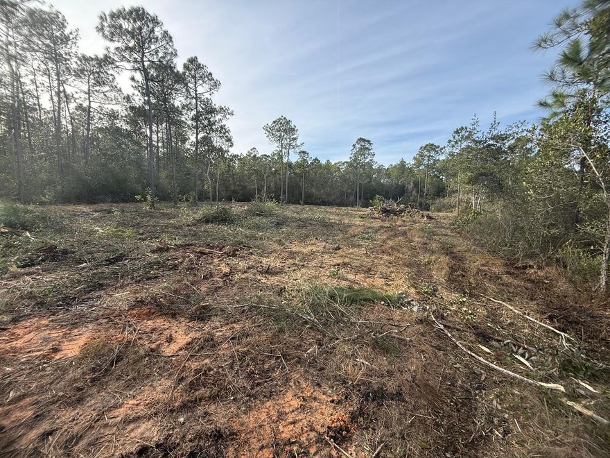 Discover 9 beautiful acres just minutes from Avalon Blvd, ideally situated near shopping, schools, and major roads. This property is perfect for building your dream home or for development opportunities. Bring your plans and your vision!