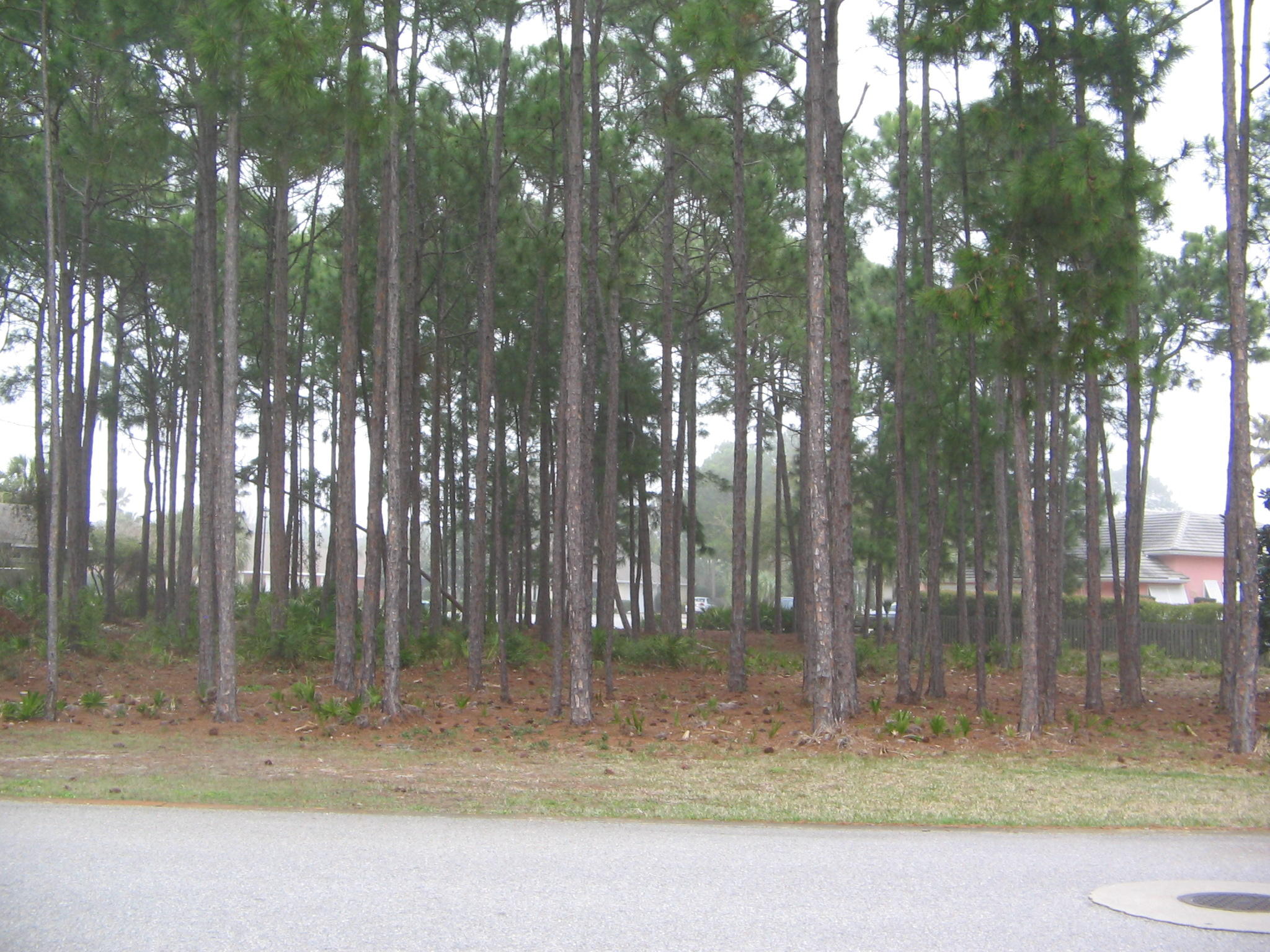 EMERALD LAKES PH 2 - Residential