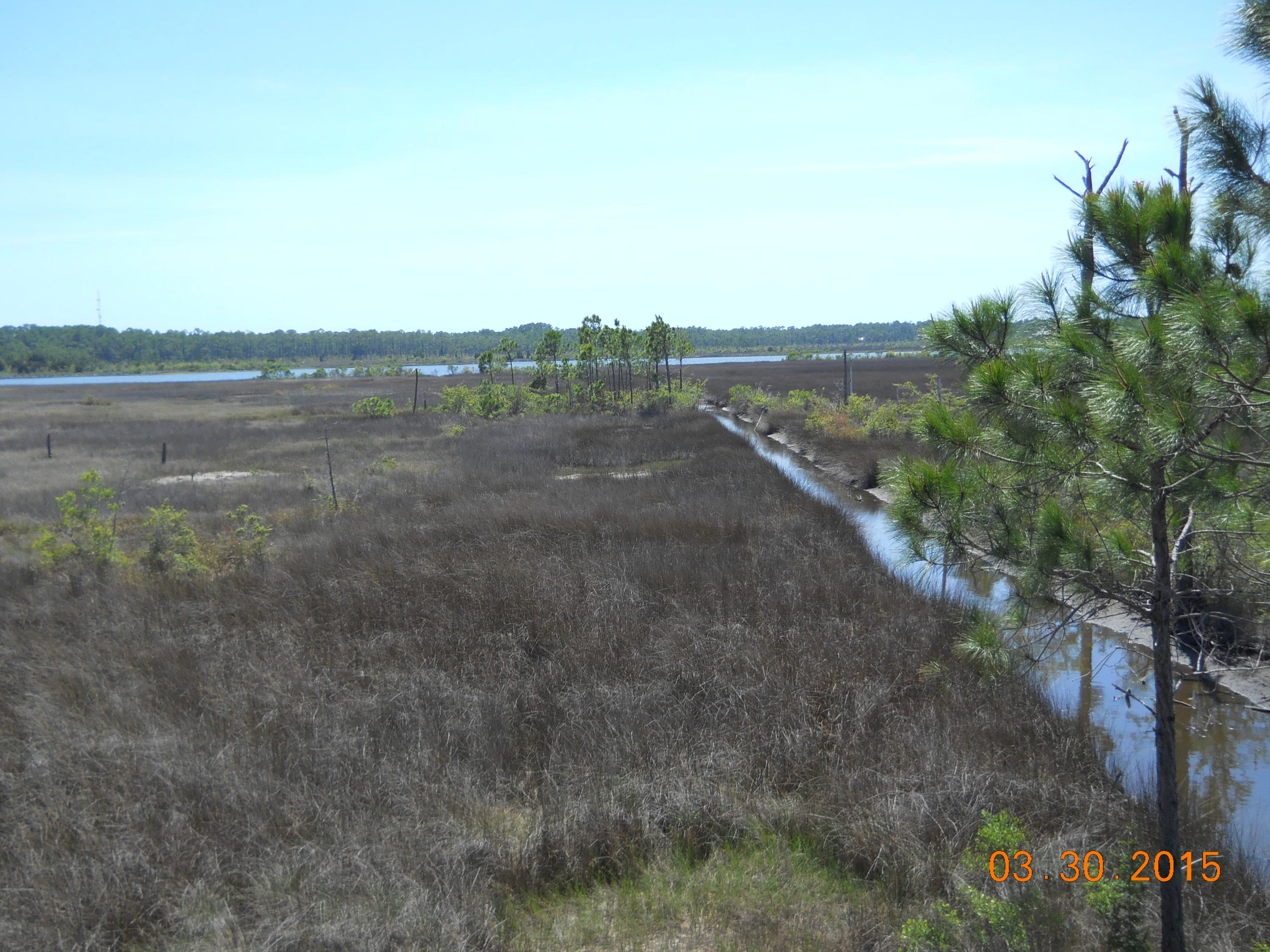 W. Nursery - Residential Lease