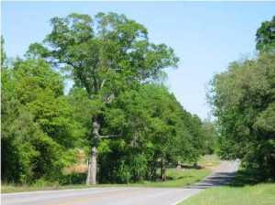 Attractive, wooded parcel on paved road (Hwy 181E). Big oaks & pines. Quiet & peaceful country setting. Great spot to build. Mobiles homes welcome. Survey in file.