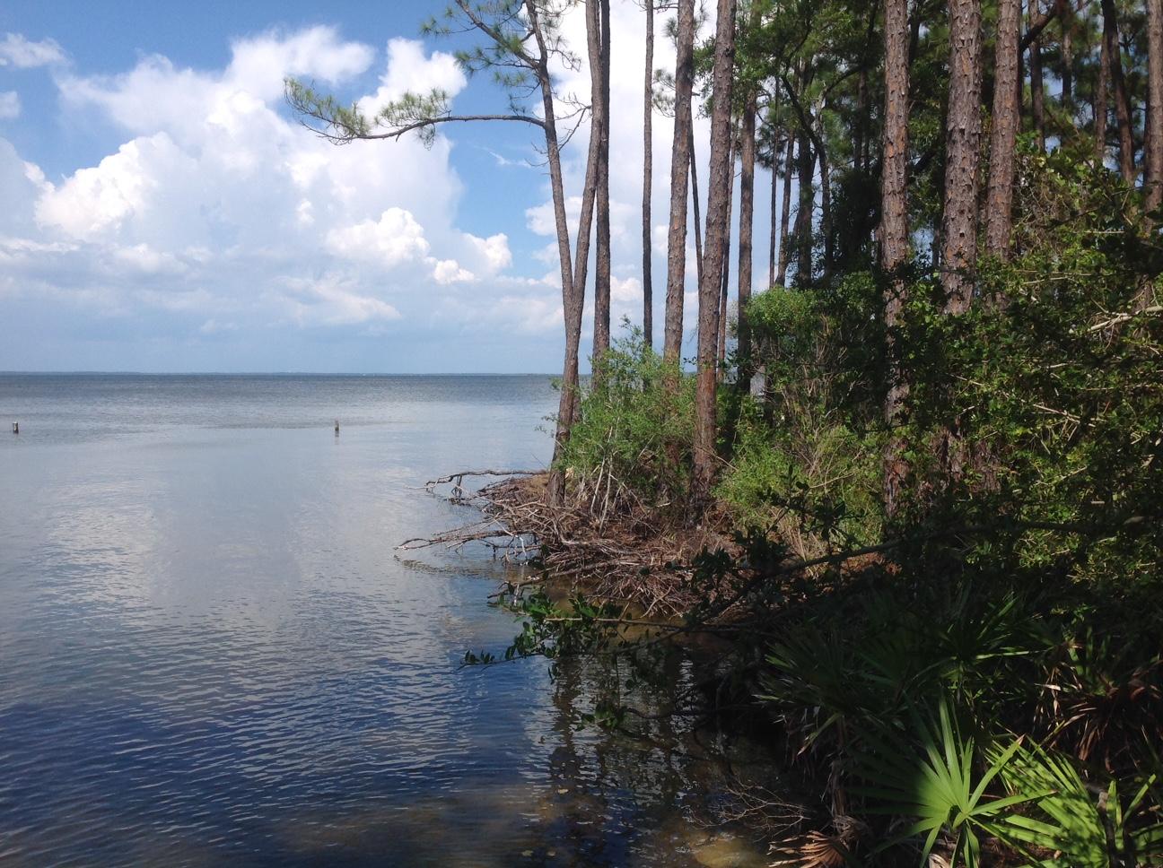 TURQUOISE BEACH 1ST ADDN - Land