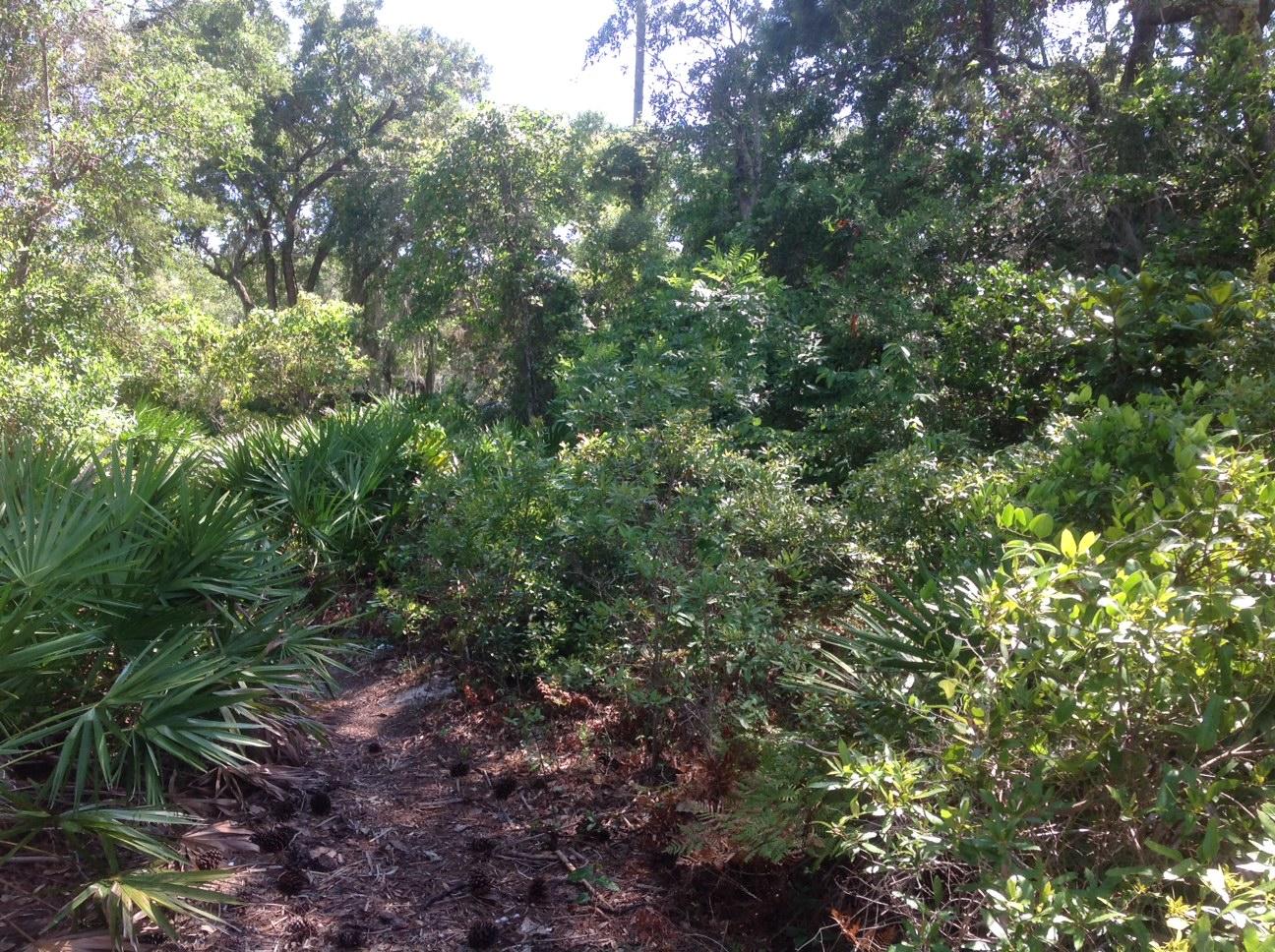 TURQUOISE BEACH 1ST ADDN - Land