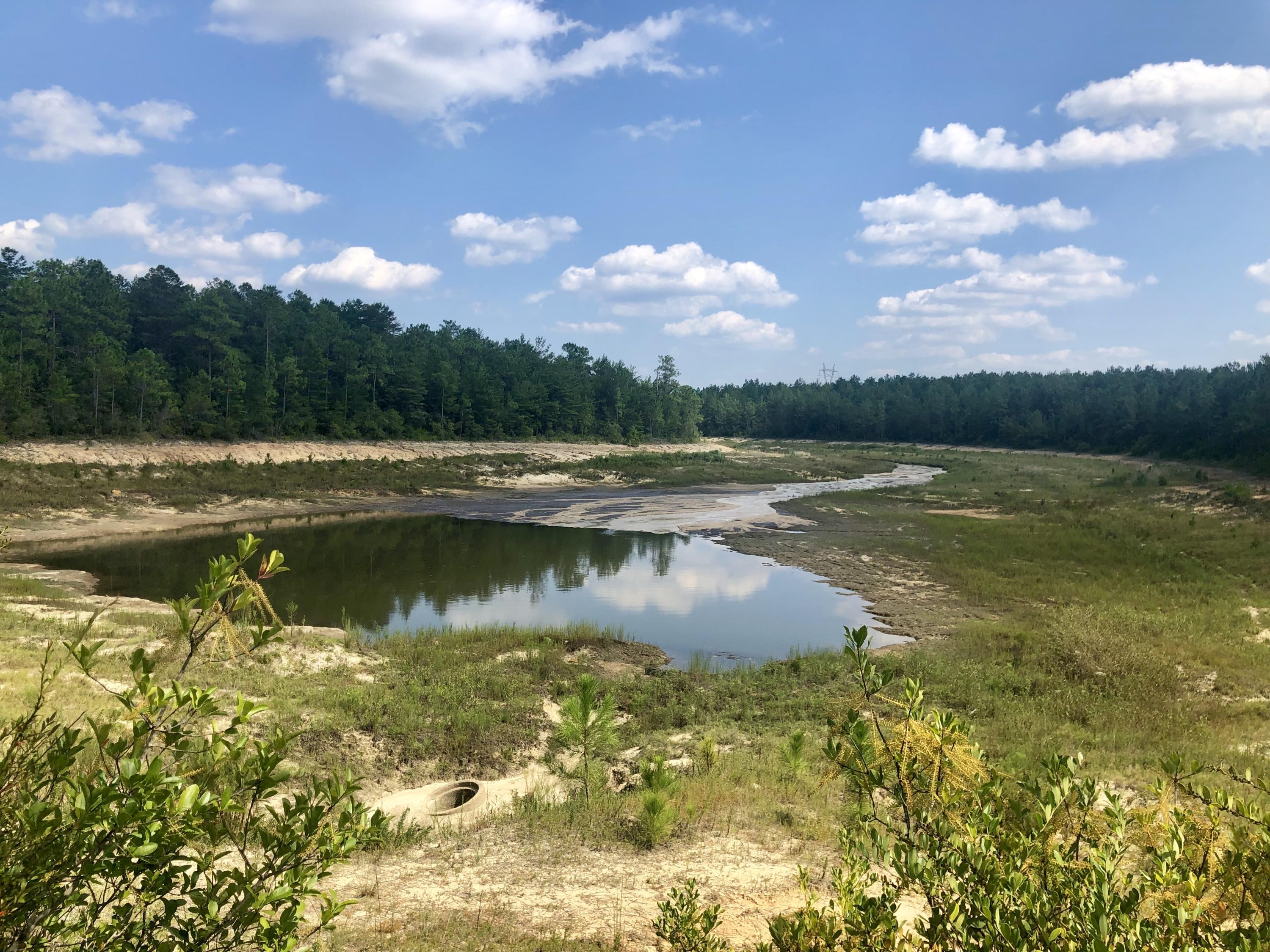 20 acres to be surveyed out of 197.13 Acre property (see Mls 816484) ,for development or creating your dream getaway estate near the Blackstone Golf Course just 10 Minutes East of Crestview and Due North of HWY 285! This is a great opportunity to develop now or hold for the future. There is a Pond on the property, the dam may or may not need repair. So many possibilities in this fast growing area with easy access to I-10. Make an offer today! Additional Additional acreage available, let's explore the options. This could be an excellent hunter's retreat, ATV recreational use parcel, or a dream home compound. The possibilities are endless!