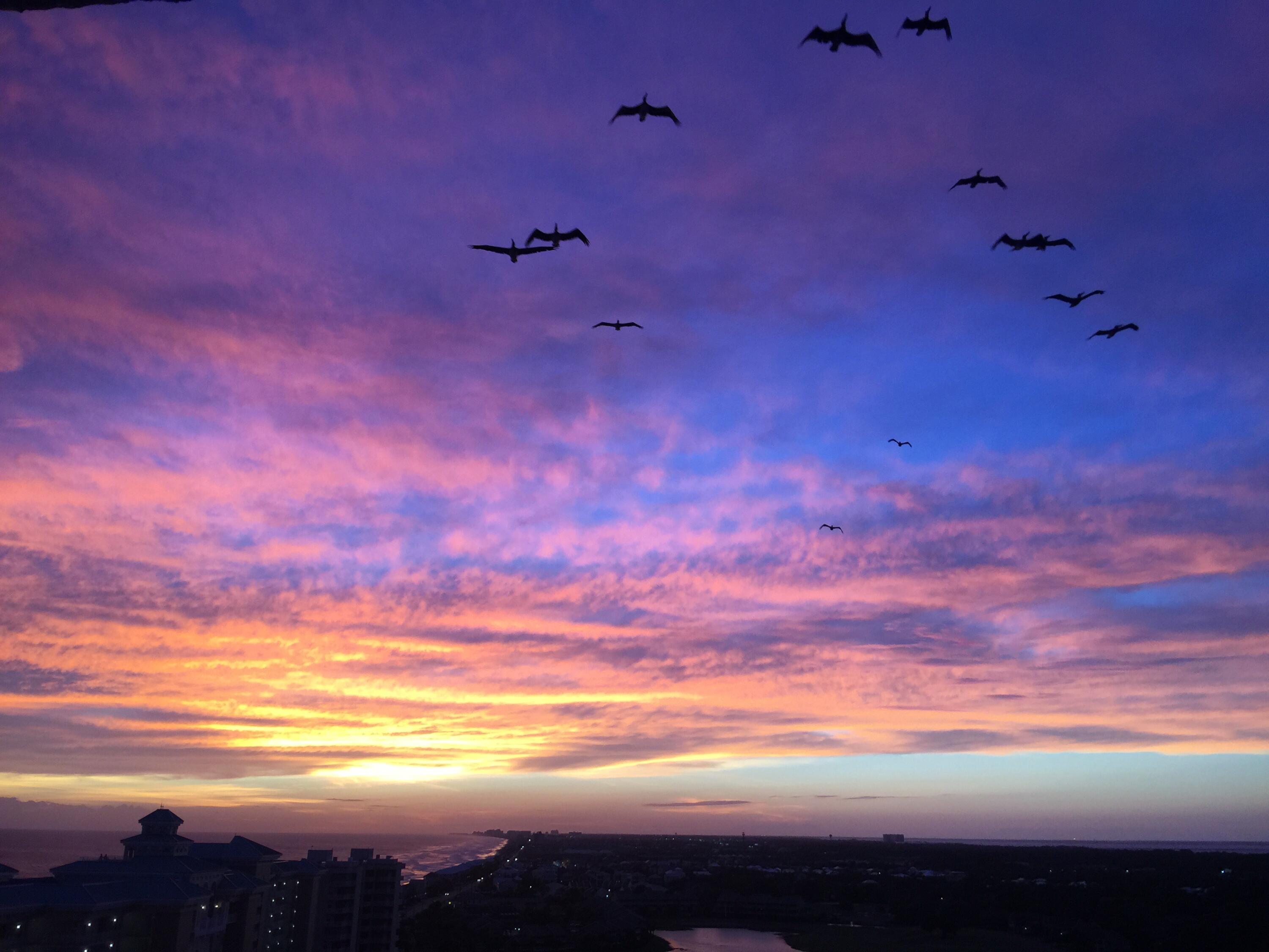 DESTIN SURFSIDE CONDO - Residential