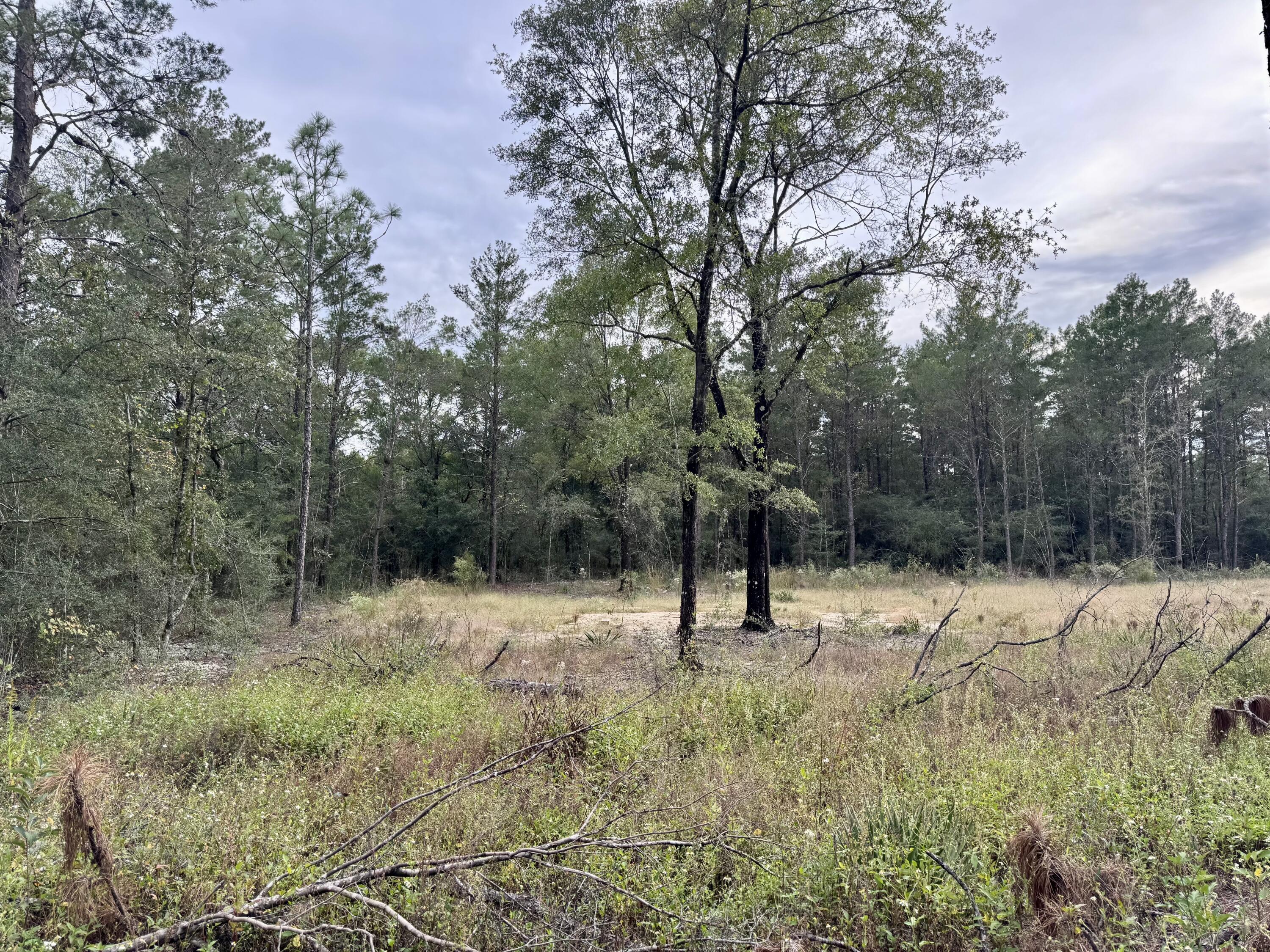 Nice 1/4 acre lot located on a quiet road in DeFuniak Springs, FL. The land is flat, dry & already cleared, making it easy for you to begin with your plans. Power access is nearby making it an easy process for connection. A private well and septic will be needed. Enjoy the peace and privacy of a little seclusion while still being just a short drive from town, shopping, and schools. Centrally located between DeFuniak Springs and Hwy 285 giving easy access to Niceville area as well. - Lots 24 & 25 are also available for purchase.