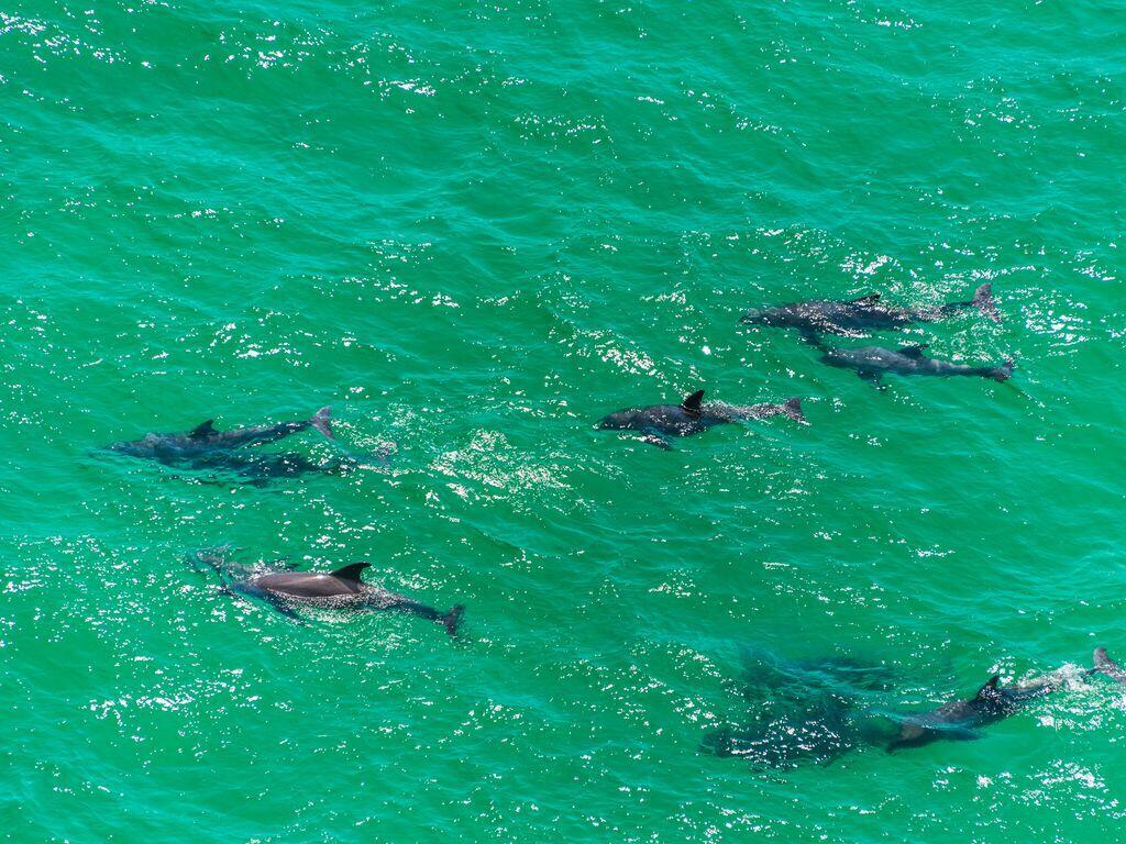 EMERALD BAY PH 1-B - Residential